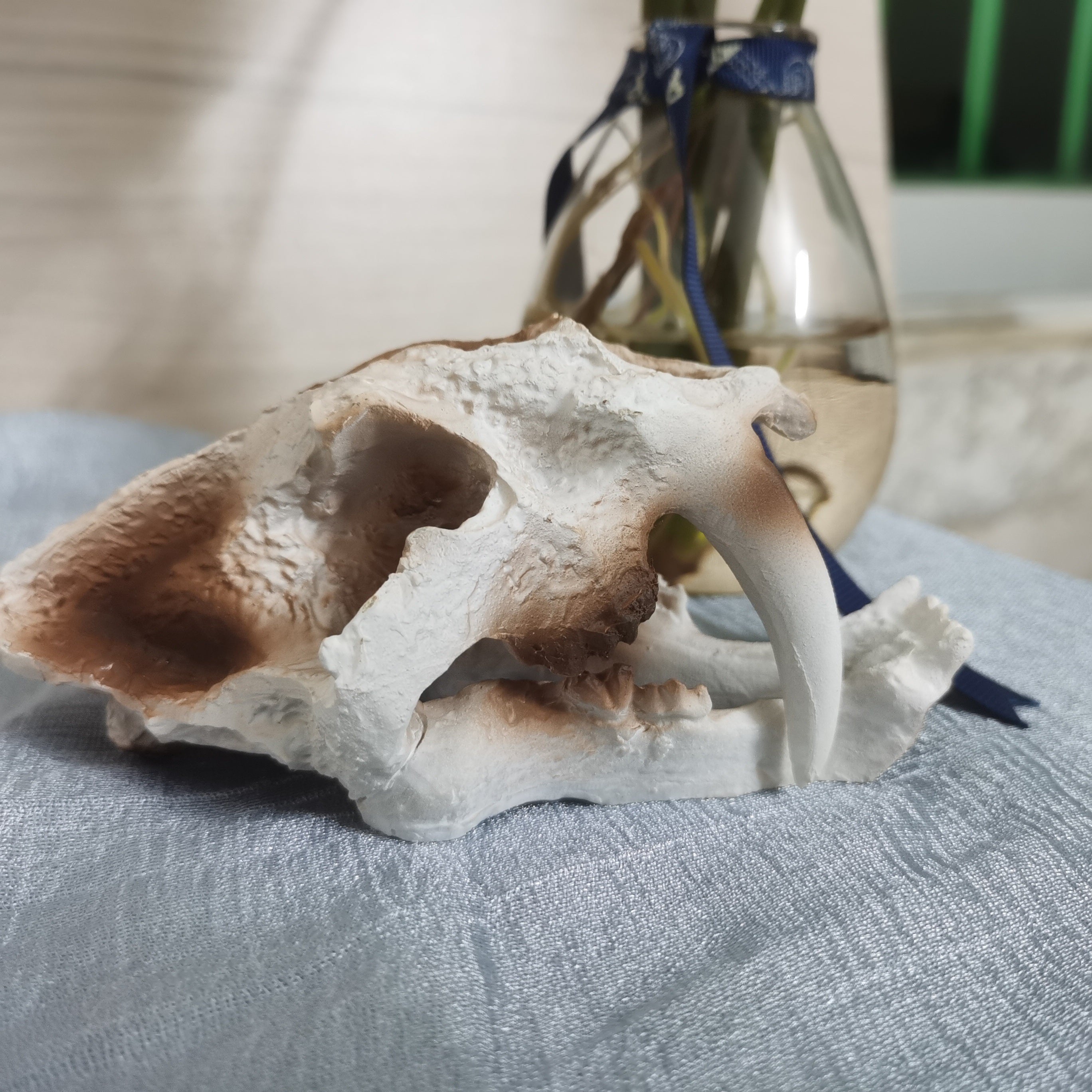 Dinosaur Skull Resin Skeleton Aquarium Decoration Ornaments