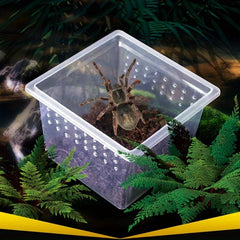 5pcs Plastic Breeding Box for Small Reptiles Insects