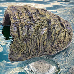 Reptile Basking Platform & Hideout Shelter for Tanks & Terrariums