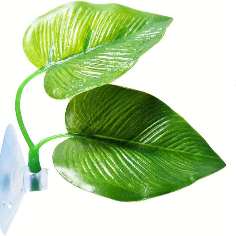 Natural Betta Fish Leaf Pad Aquarium Decor