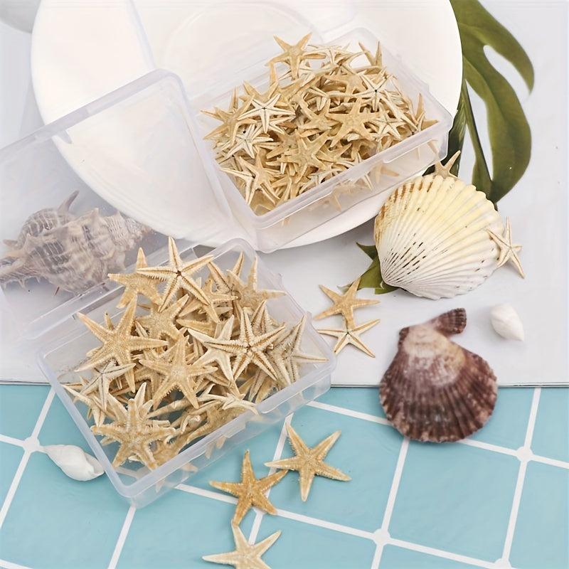 20pcs Natural Starfish Sea Shell Conch Fish Tank Decoration Ornaments