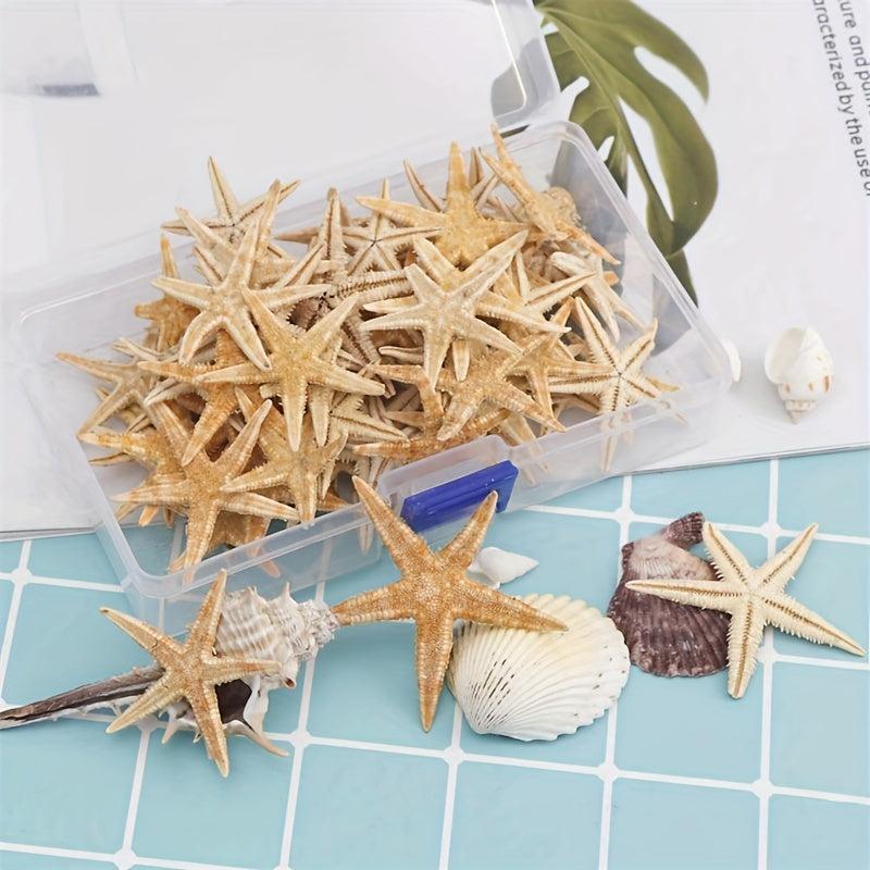 20pcs Natural Starfish Sea Shell Conch Fish Tank Decoration Ornaments