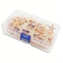 20pcs Natural Starfish Sea Shell Conch Fish Tank Decoration Ornaments