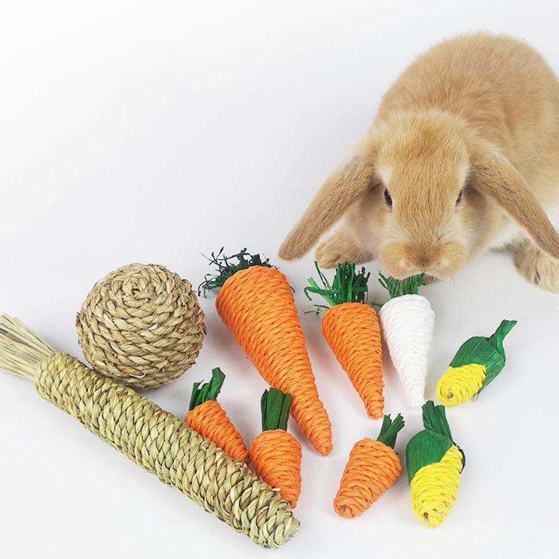 Woven Chew Toy for Hamsters and Rabbits with Carrot