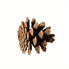 Interactive Rolling Chew Toys for Small Animals