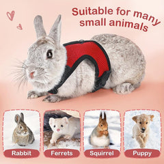 Adjustable Rabbit Harness with Rope, Breathable Small Pet Leash Vest