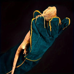 Bite Resistant Leather Dog Training Gloves - Protective Gloves