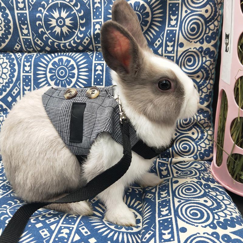 Rabbit Harness And Leash Set Bunny Vest With Button Decor Small Animal