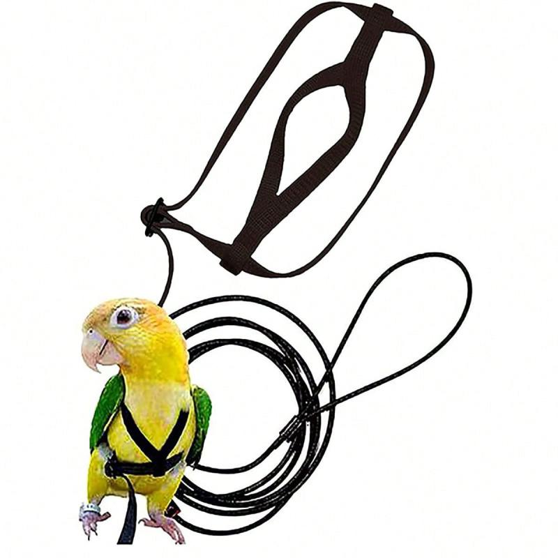 Adjustable Pet Parrot Leash & Harness - Bird Harness For Flying - Traction Rope