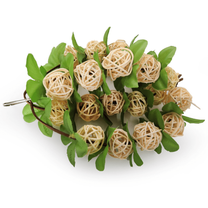 Parrot Toys Hanging Wooden Birds Ball Toy Bird Cage Bite Toys