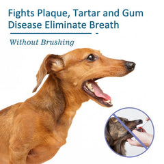 Pet Mouth Cleaning Spray For Dogs And Cats - Tartar & Bad Breath Remover
