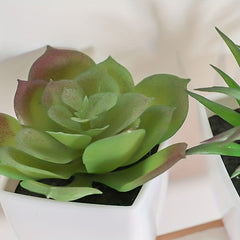 3pcs Artificial Succulents Potted Plants Home Living Room Bedroom Decor