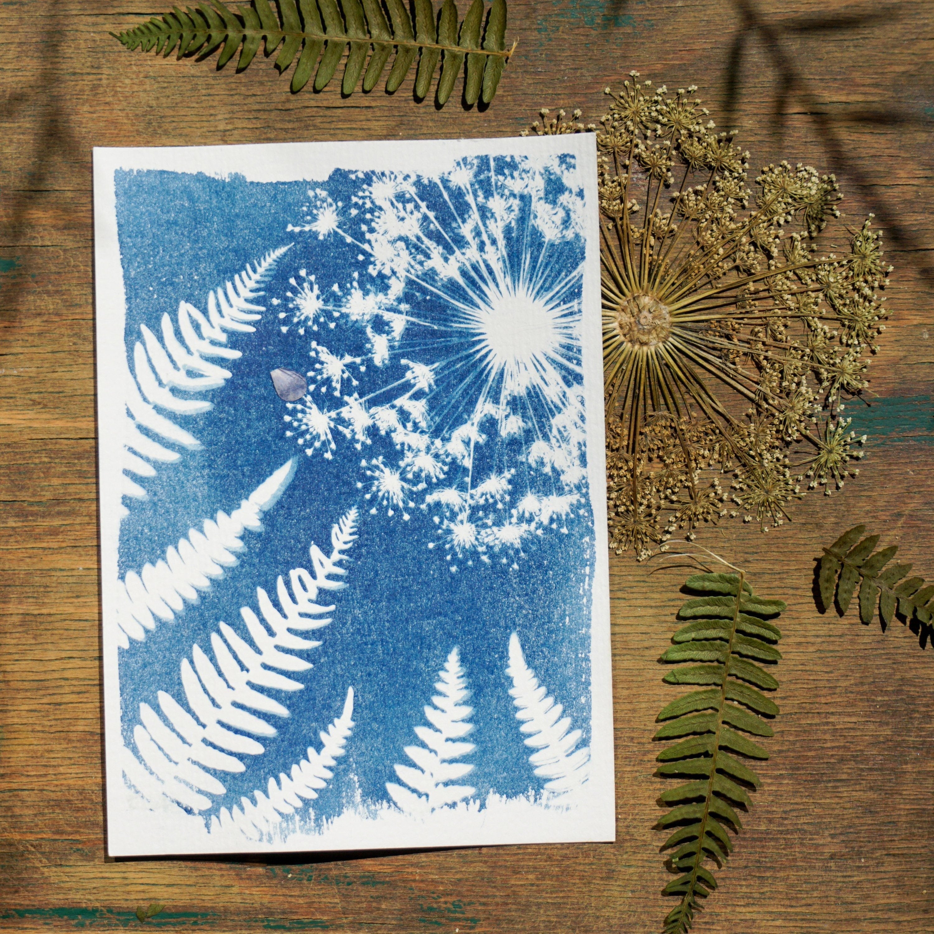 Cyanotype Material Package Set with Sun Paper Tools 14x21 cm
