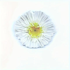 25 Sheets 3D Flower Stickers - Office, Study, Home Decoration