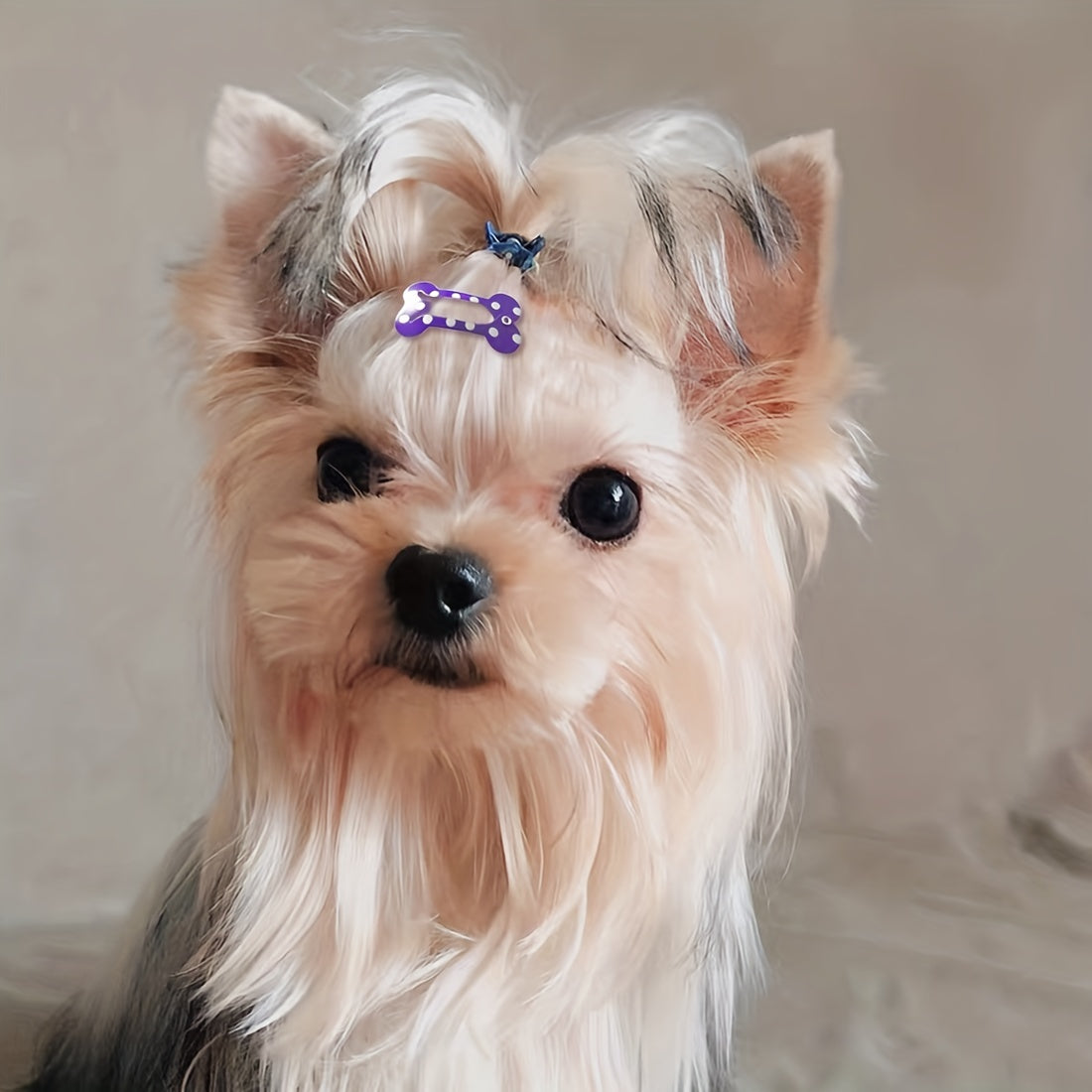 Pet Hair Clips - 10 Pack for Puppy or Kitten Grooming
