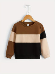 Boys Casual Pullover Sweatshirt Long Sleeve Crew Neck Tops