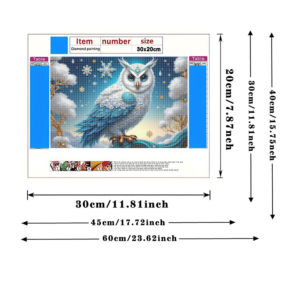 Snow Themed Owl Diamond Painting Kit for Adults Winter Scene