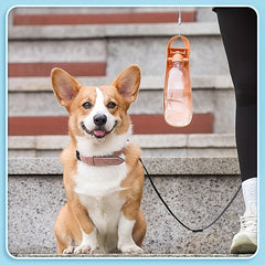 Foldable Pet Water Bottle Portable Drinking Feeder for Dogs and Cats