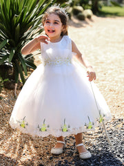 Baby Girl Mesh Embroidered Princess Dress