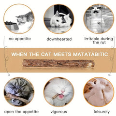 15pcs Catnip Sticks Chew Toys For Cat