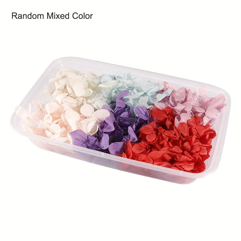 Box Flower Dry Plants For Candle Aromatherapy DIY