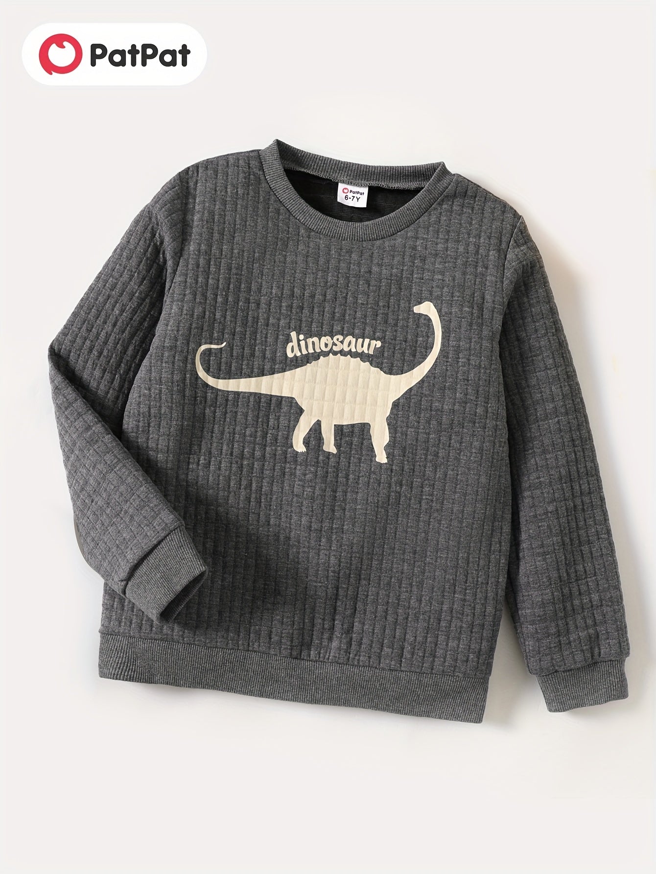 Dinosaur Print Boys Casual Pullover Sweatshirt Long Sleeve Crew Neck Tops