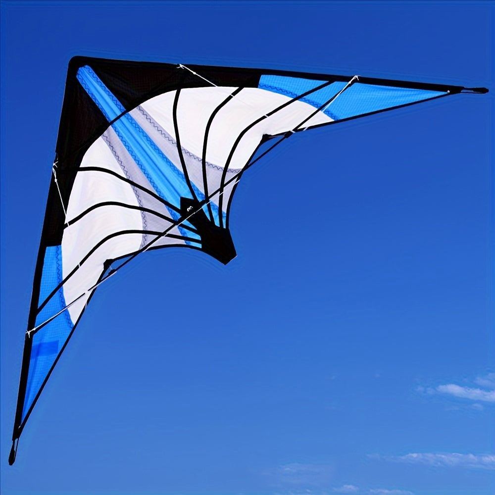 Exciting Kite Flying - Outdoor Fun with Kite & Handle
