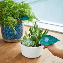 3-in-1 Plant Watering Set Spikes & Funnels for Indoor Plants