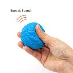 Squeaky Rubber Ball Dog Toy for All Sizes of Dogs