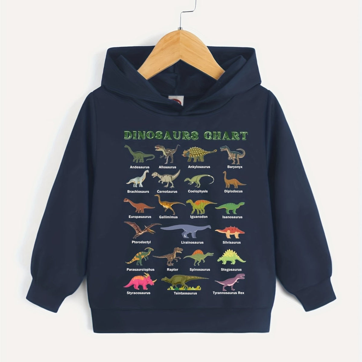 Dinosaurs Chart Boys Hooded Sweatshirt