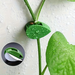 10pcs Self Adhesive Garden Wall Plant Clips for Climbing Vines
