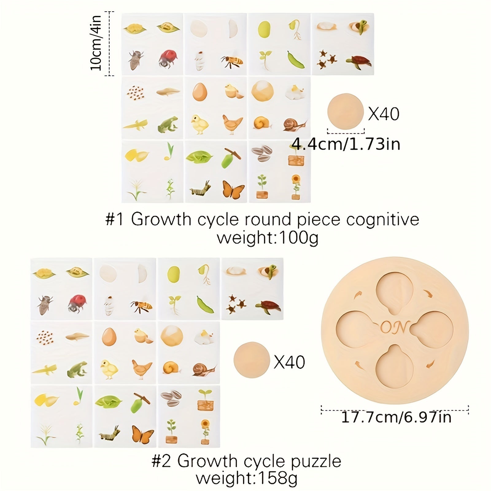 Wooden Life Cycle Board Puzzle Growth Circle Cognitive Educational Toys