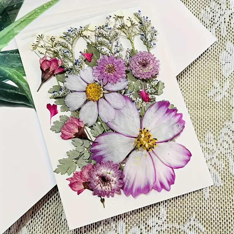 20pcs Dried Flower DIY Craft Kit - Wall Art, Photo Frames, Books