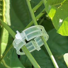 Tomato Hanging Rope Snap Clip Vegetable Snap Clip Garden Tools