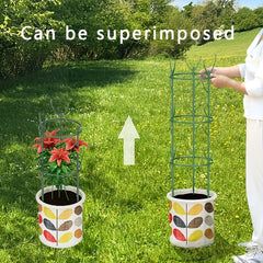 Versatile Plant Fixed Rattan Climbing Bracket Monthly Rattan Climbing Rack