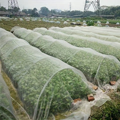 Garden Netting Variety Pack - 33ft & 16.5ft Ultra Fine Mesh