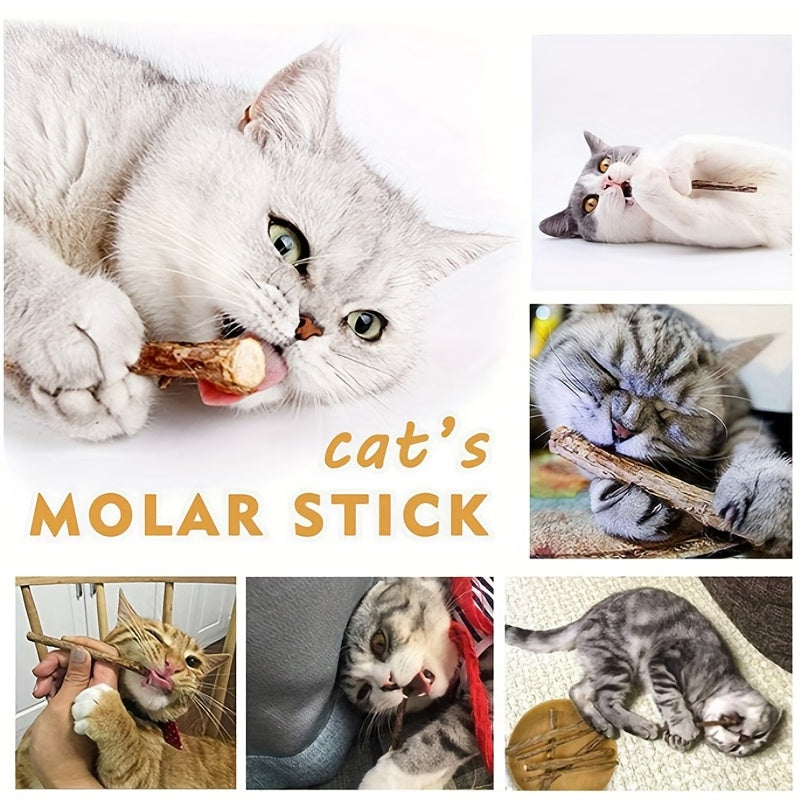 15pcs Catnip Sticks Chew Toys For Cat