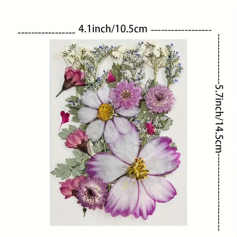 20pcs Dried Flower DIY Craft Kit - Wall Art, Photo Frames, Books