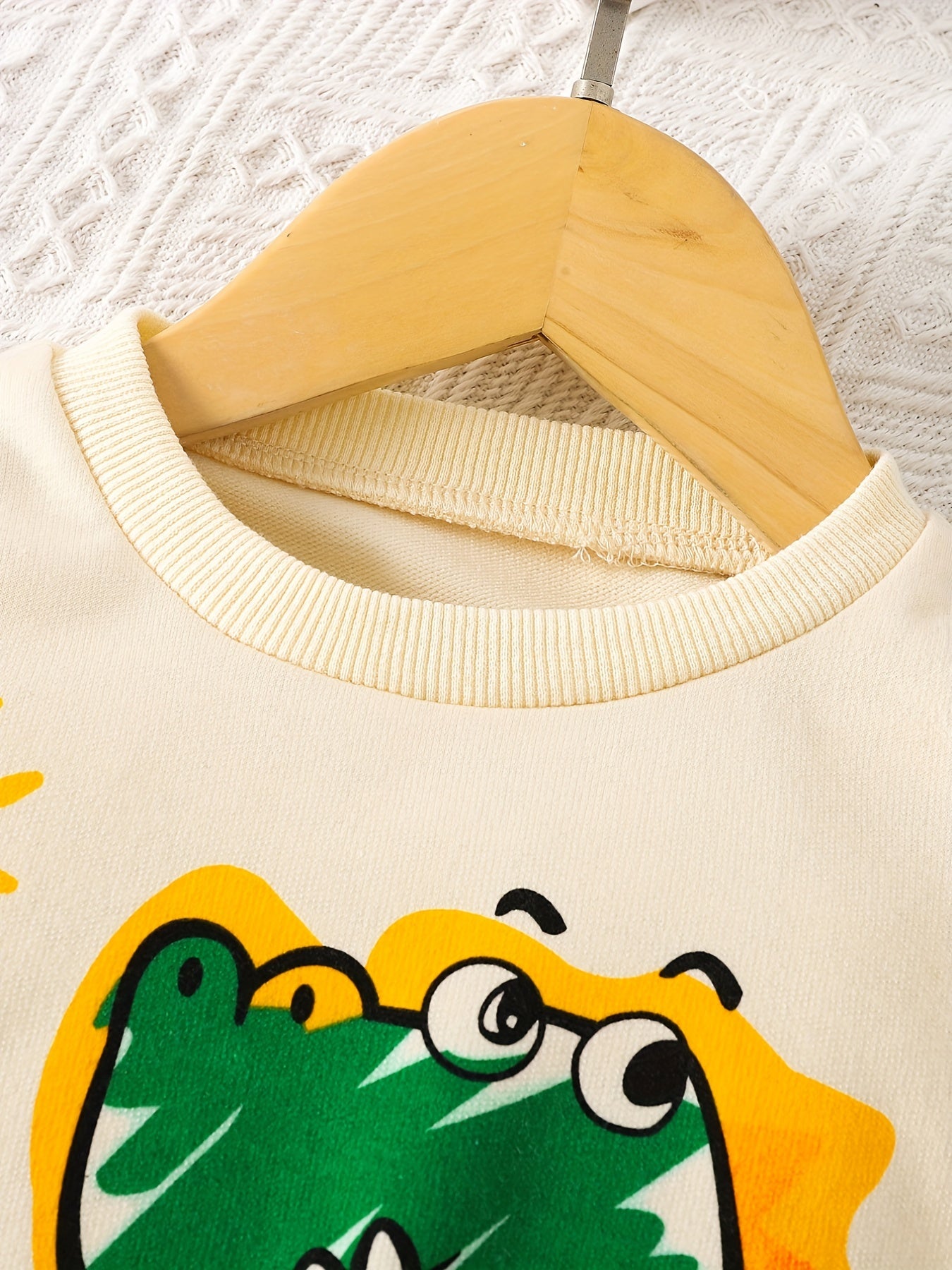 Baby Boys Dinosaur Graphic Pullover Sweatshirt