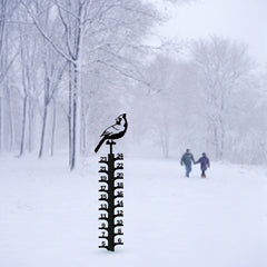 Metal Snow Gauge Large Iron Snowfall Measuring Rod Bird Shape