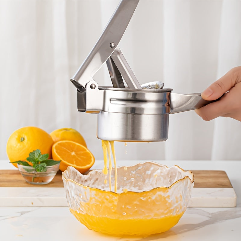 Stainless Steel Chip Maker for Fruit Juicing & Garlic Smashing