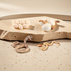 Snake Growth Cycle Sensory Toy with Habitat
