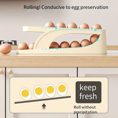 Double Layer Egg Box Refrigerator Side Door Anti fall Egg Storage Box