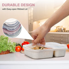 Fresh Keeping Bento Box 3 Grid Lunch Container for Outdoor Camping