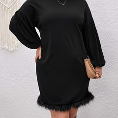  Solid Long Sleeve Round Neck Fuzzy Trim Dress
