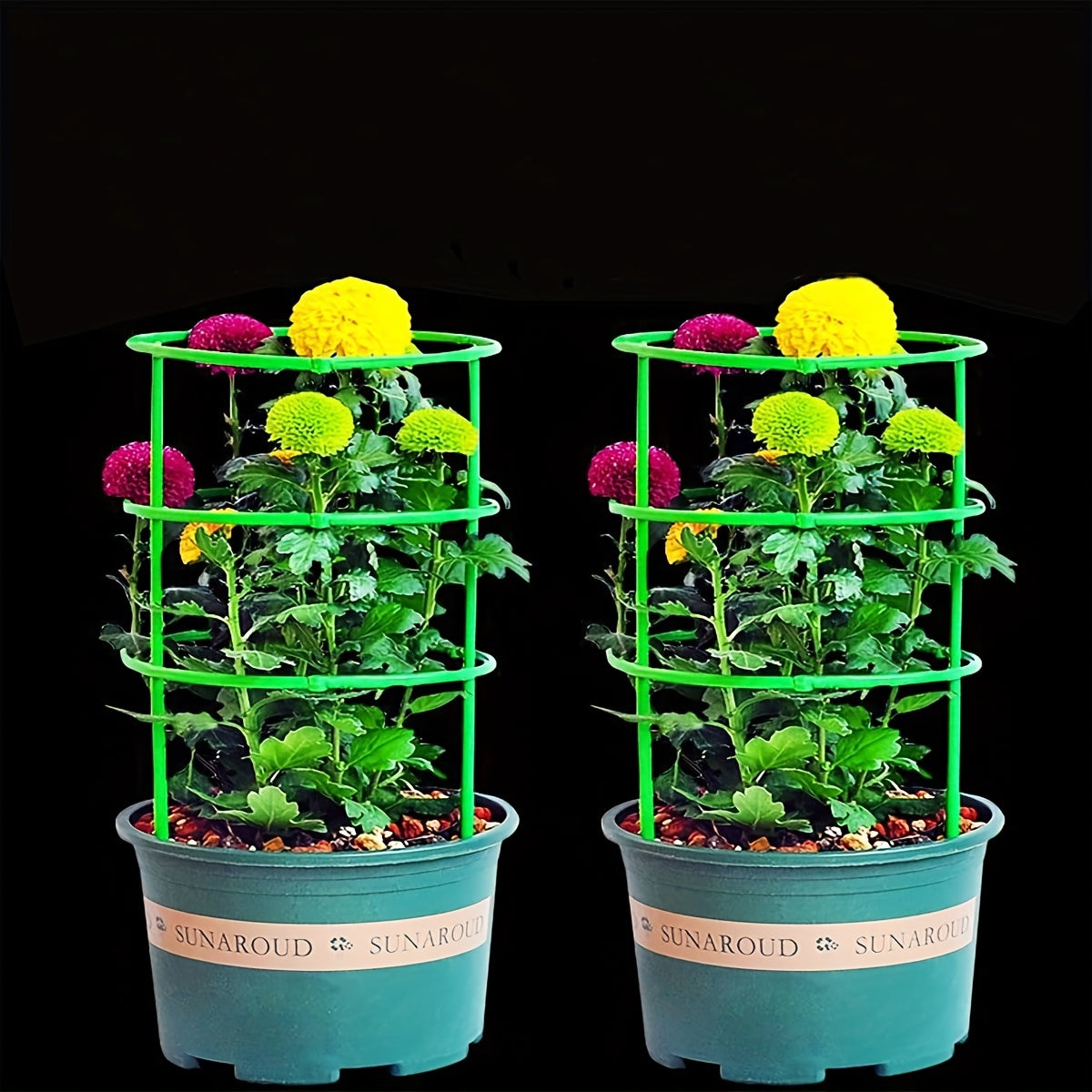 Plant Support Pot Holder for Garden Climbing Vine - Set of 2