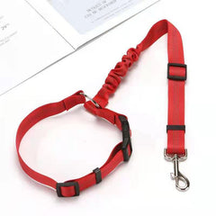 Pet Car Seat Belt & Leash Combo - Keep Your Pet Safe & Secure On the Road