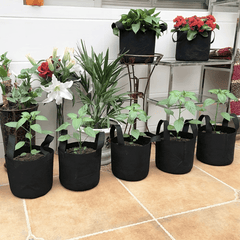 3 Gallon Grow Bags Non Woven Plant Fabric Pots with Handles