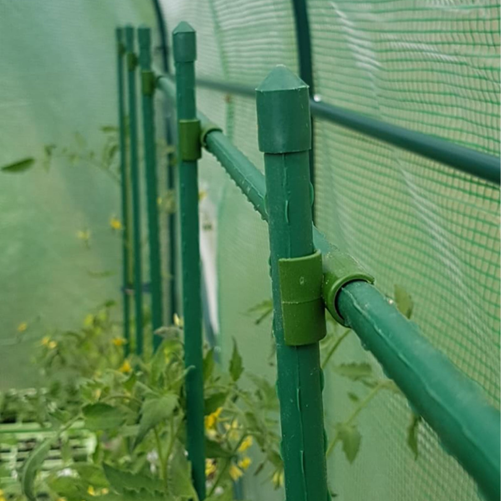 50pcs Cross Buckle Plant Support for Climbing Vines