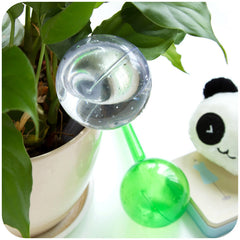 Self Watering Globe For Automatic Plant Watering